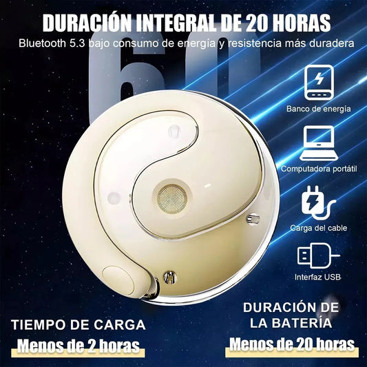 Audífonos Traductores Inteligentes en Tiempo Real.